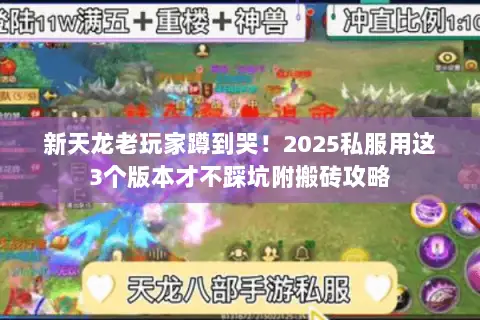 新天龙老玩家蹲到哭!2025私服用这3个版本才不踩坑附搬砖攻略 新天龙老玩家蹲到哭!2025私服用这3个版本才不踩坑附搬砖攻略