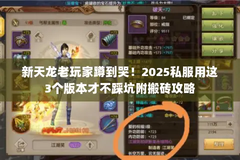 新天龙老玩家蹲到哭!2025私服用这3个版本才不踩坑附搬砖攻略 新天龙老玩家蹲到哭!2025私服用这3个版本才不踩坑附搬砖攻略