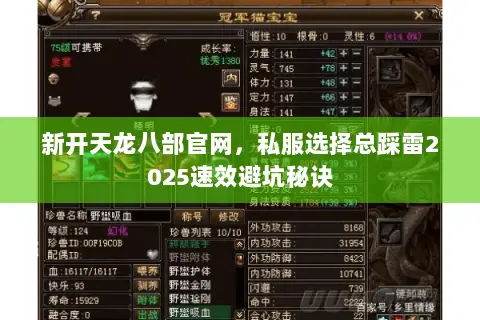 新开天龙八部官网,私服选择总踩雷2025速效避坑秘诀 新开天龙八部官网,私服选择总踩雷2025速效避坑秘诀
