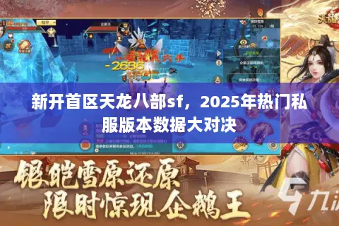 新开首区天龙八部sf,2025年热门私服版本数据大对决 新开首区天龙八部sf,2025年热门私服版本数据大对决