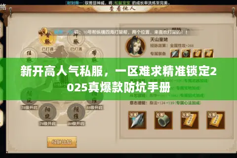 新开高人气私服，一区难求精准锁定2025真爆款防坑手册