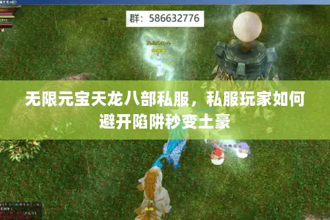 无限元宝天龙八部私服,私服玩家如何避开陷阱秒变土豪 无限元宝天龙八部私服,私服玩家如何避开陷阱秒变土豪