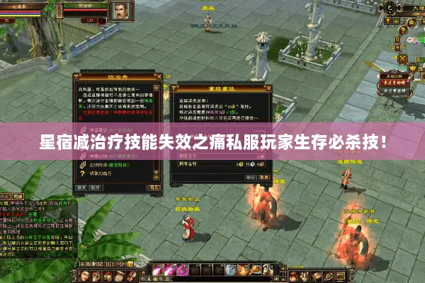 星宿减治疗技能失效之痛私服玩家生存必杀技! 星宿减治疗技能失效之痛私服玩家生存必杀技!