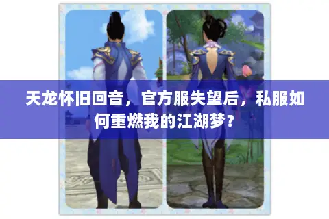天龙怀旧回音，官方服失望后，私服如何重燃我的江湖梦？