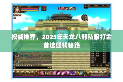权威推荐,2025年天龙八部私服打金首选赚钱秘籍 权威推荐,2025年天龙八部私服打金首选赚钱秘籍