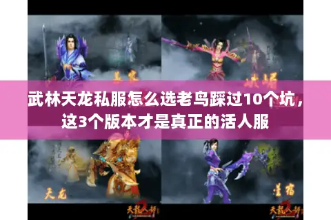 武林天龙私服怎么选老鸟踩过10个坑,这3个版本才是真正的活人服 武林天龙私服怎么选老鸟踩过10个坑,这3个版本才是真正的活人服