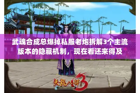 武魂合成总爆掉私服老炮拆解3个主流版本的隐藏机制，现在看还来得及