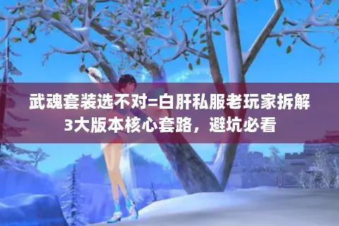 武魂套装选不对=白肝私服老玩家拆解3大版本核心套路,避坑必看 武魂套装选不对=白肝私服老玩家拆解3大版本核心套路,避坑必看
