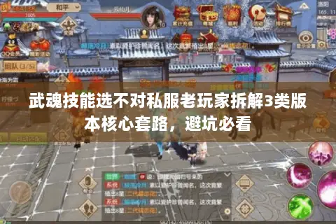 武魂技能选不对私服老玩家拆解3类版本核心套路,避坑必看 武魂技能选不对私服老玩家拆解3类版本核心套路,避坑必看