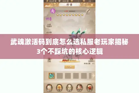 武魂激活码到底怎么选私服老玩家揭秘3个不踩坑的核心逻辑