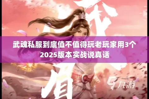 武魂私服到底值不值得玩老玩家用3个2025版本实战说真话
