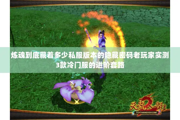 炼魂到底藏着多少私服版本的隐藏密码老玩家实测3款冷门服的进阶套路 炼魂到底藏着多少私服版本的隐藏密码老玩家实测3款冷门服的进阶套路