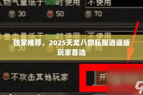 独家推荐，2025天龙八部私服逍遥版玩家首选