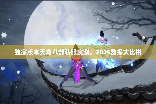 独家版本天龙八部私服实测，2025数据大比拼