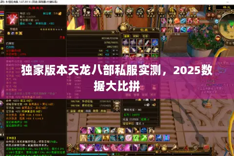 独家版本天龙八部私服实测，2025数据大比拼