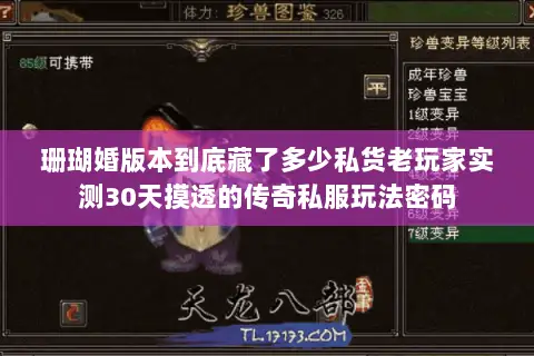 珊瑚婚版本到底藏了多少私货老玩家实测30天摸透的传奇私服玩法密码 珊瑚婚版本到底藏了多少私货老玩家实测30天摸透的传奇私服玩法密码