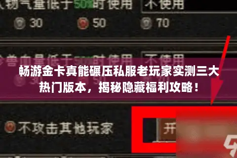 畅游金卡真能碾压私服老玩家实测三大热门版本,揭秘隐藏福利攻略! 畅游金卡真能碾压私服老玩家实测三大热门版本,揭秘隐藏福利攻略!