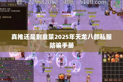 真推还是割韭菜2025年天龙八部私服防骗手册 真推还是割韭菜2025年天龙八部私服防骗手册