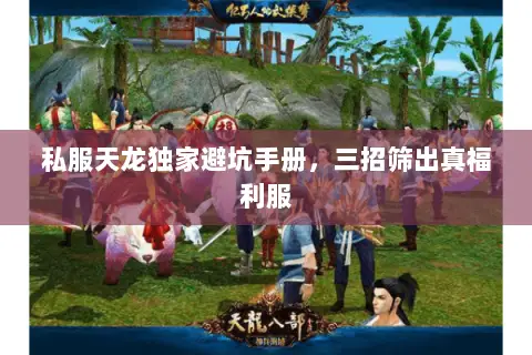 私服天龙独家避坑手册,三招筛出真福利服 私服天龙独家避坑手册,三招筛出真福利服