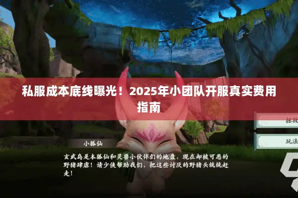 私服成本底线曝光!2025年小团队开服真实费用指南 私服成本底线曝光!2025年小团队开服真实费用指南
