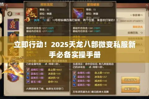 立即行动!2025天龙八部微变私服新手必备实操手册 立即行动!2025天龙八部微变私服新手必备实操手册
