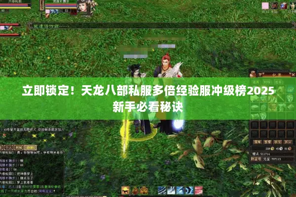 立即锁定！天龙八部私服多倍经验服冲级榜2025新手必看秘诀