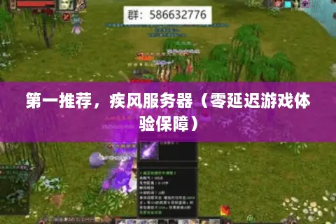 第一推荐,疾风服务器(零延迟游戏体验保障) 第一推荐,疾风服务器(零延迟游戏体验保障)