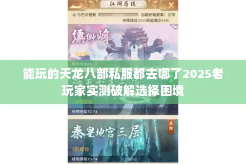 能玩的天龙八部私服都去哪了2025老玩家实测破解选择困境 能玩的天龙八部私服都去哪了2025老玩家实测破解选择困境