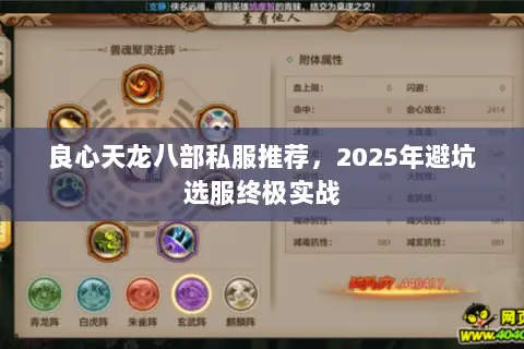 良心天龙八部私服推荐,2025年避坑选服终极实战 良心天龙八部私服推荐,2025年避坑选服终极实战