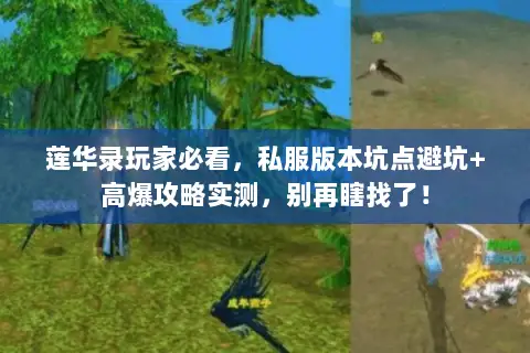 莲华录玩家必看,私服版本坑点避坑+高爆攻略实测,别再瞎找了! 莲华录玩家必看,私服版本坑点避坑+高爆攻略实测,别再瞎找了!