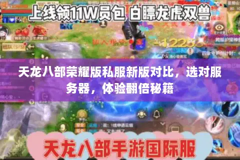 天龙八部荣耀版私服新版对比,选对服务器,体验翻倍秘籍 天龙八部荣耀版私服新版对比,选对服务器,体验翻倍秘籍