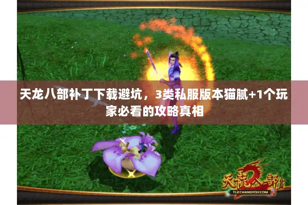 天龙八部补丁下载避坑,3类私服版本猫腻+1个玩家必看的攻略真相 天龙八部补丁下载避坑,3类私服版本猫腻+1个玩家必看的攻略真相