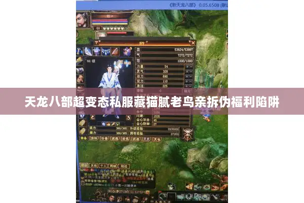 天龙八部超变态私服藏猫腻老鸟亲拆伪福利陷阱