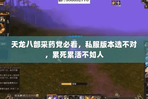 天龙八部采药党必看,私服版本选不对,累死累活不如人 天龙八部采药党必看,私服版本选不对,累死累活不如人