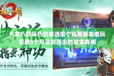 天龙八部采药到底选哪个私服版本老玩家用3个月实战测出的赚金真相 天龙八部采药到底选哪个私服版本老玩家用3个月实战测出的赚金真相