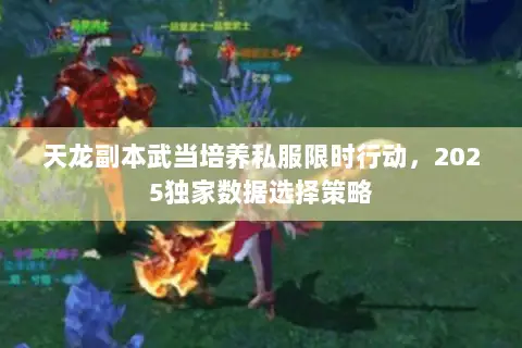 天龙副本武当培养私服限时行动，2025独家数据选择策略