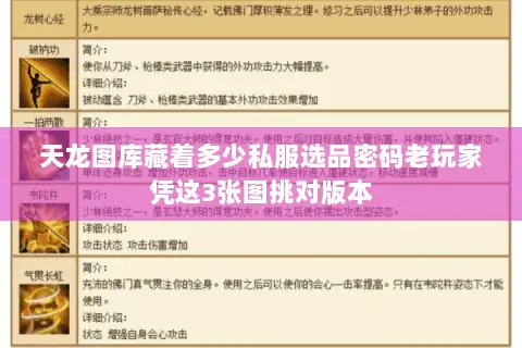 天龙图库藏着多少私服选品密码老玩家凭这3张图挑对版本