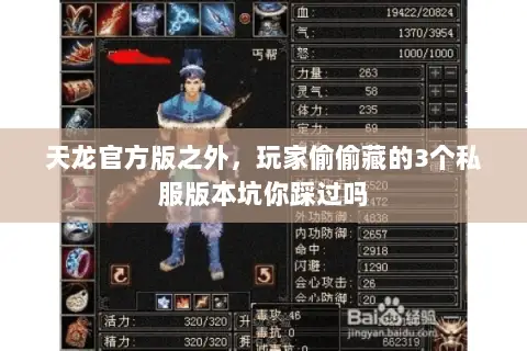 天龙官方版之外,玩家偷偷藏的3个私服版本坑你踩过吗 天龙官方版之外,玩家偷偷藏的3个私服版本坑你踩过吗