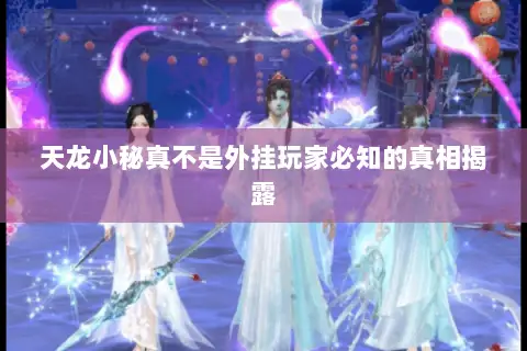 天龙小秘真不是外挂玩家必知的真相揭露 天龙小秘真不是外挂玩家必知的真相揭露
