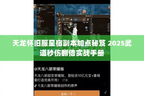 天龙怀旧服星宿副本加点秘笈 2025武道秒伤翻倍实战手册