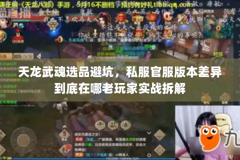 天龙武魂选品避坑,私服官服版本差异到底在哪老玩家实战拆解 天龙武魂选品避坑,私服官服版本差异到底在哪老玩家实战拆解