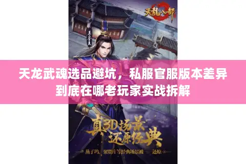 天龙武魂选品避坑,私服官服版本差异到底在哪老玩家实战拆解 天龙武魂选品避坑,私服官服版本差异到底在哪老玩家实战拆解