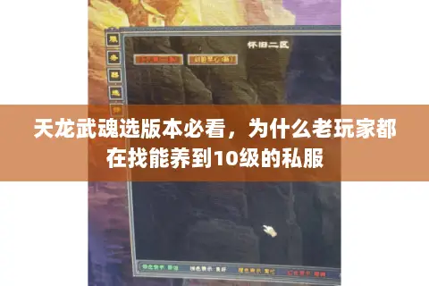 天龙武魂选版本必看,为什么老玩家都在找能养到10级的私服 天龙武魂选版本必看,为什么老玩家都在找能养到10级的私服