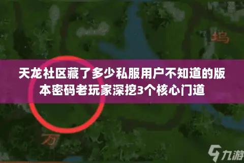 天龙社区藏了多少私服用户不知道的版本密码老玩家深挖3个核心门道