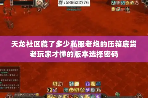 天龙社区藏了多少私服老炮的压箱底货老玩家才懂的版本选择密码 天龙社区藏了多少私服老炮的压箱底货老玩家才懂的版本选择密码