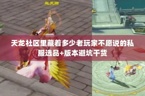 天龙社区里藏着多少老玩家不愿说的私服选品+版本避坑干货 天龙社区里藏着多少老玩家不愿说的私服选品+版本避坑干货