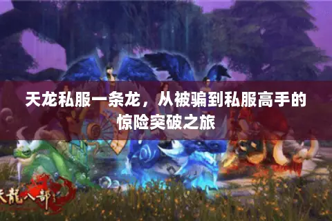 天龙私服一条龙,从被骗到私服高手的惊险突破之旅 天龙私服一条龙,从被骗到私服高手的惊险突破之旅