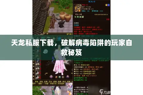 天龙私服下载,破解病毒陷阱的玩家自救秘笈 天龙私服下载,破解病毒陷阱的玩家自救秘笈