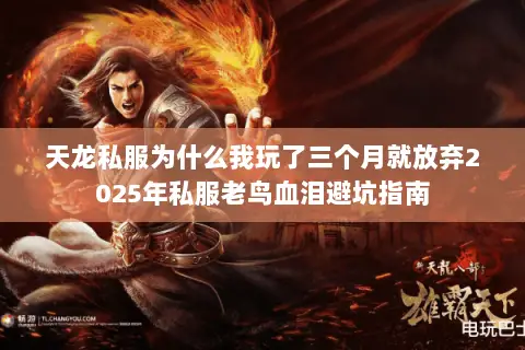 天龙私服为什么我玩了三个月就放弃2025年私服老鸟血泪避坑指南