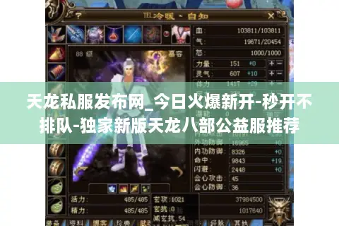 天龙私服发布网_今日火爆新开-秒开不排队-独家新版天龙八部公益服推荐